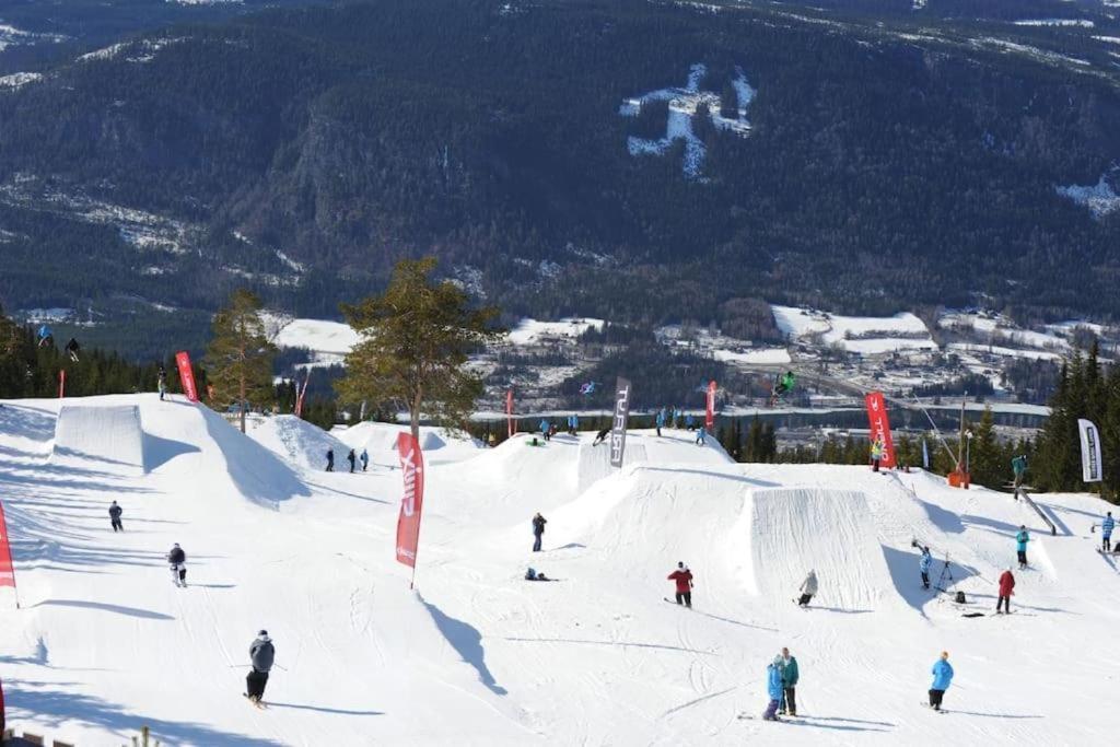 Leilighet Med Panoramautsikt Sjusjoen Innendors Parkering Exteriér fotografie