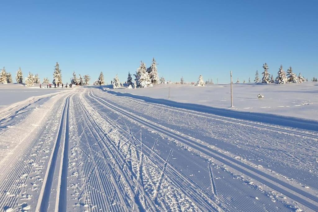 Leilighet Med Panoramautsikt Sjusjoen Innendors Parkering Exteriér fotografie
