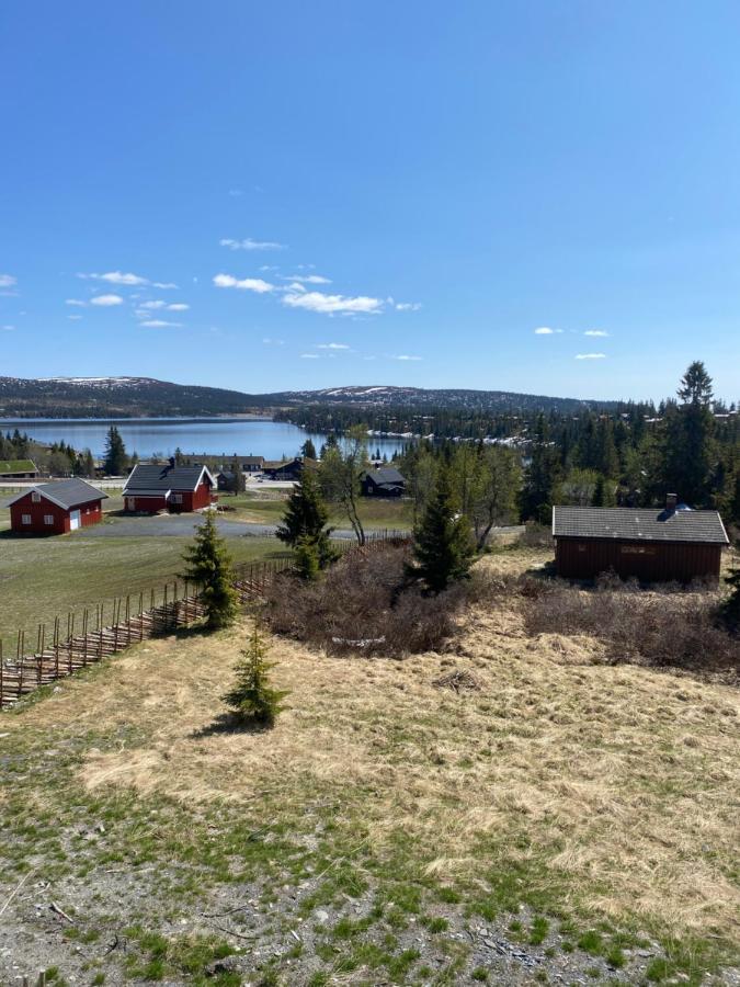 Leilighet Med Panoramautsikt Sjusjoen Innendors Parkering Exteriér fotografie